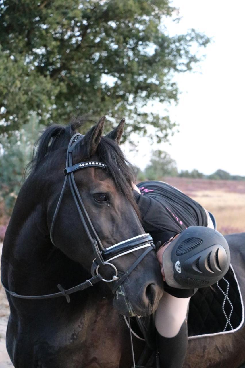 Magnolia Hoeve - Unieke Bestemming Voor Paardenliefhebbers En Bijzondere Overnachtingen In De Natuur Ledeacker Bagian luar foto