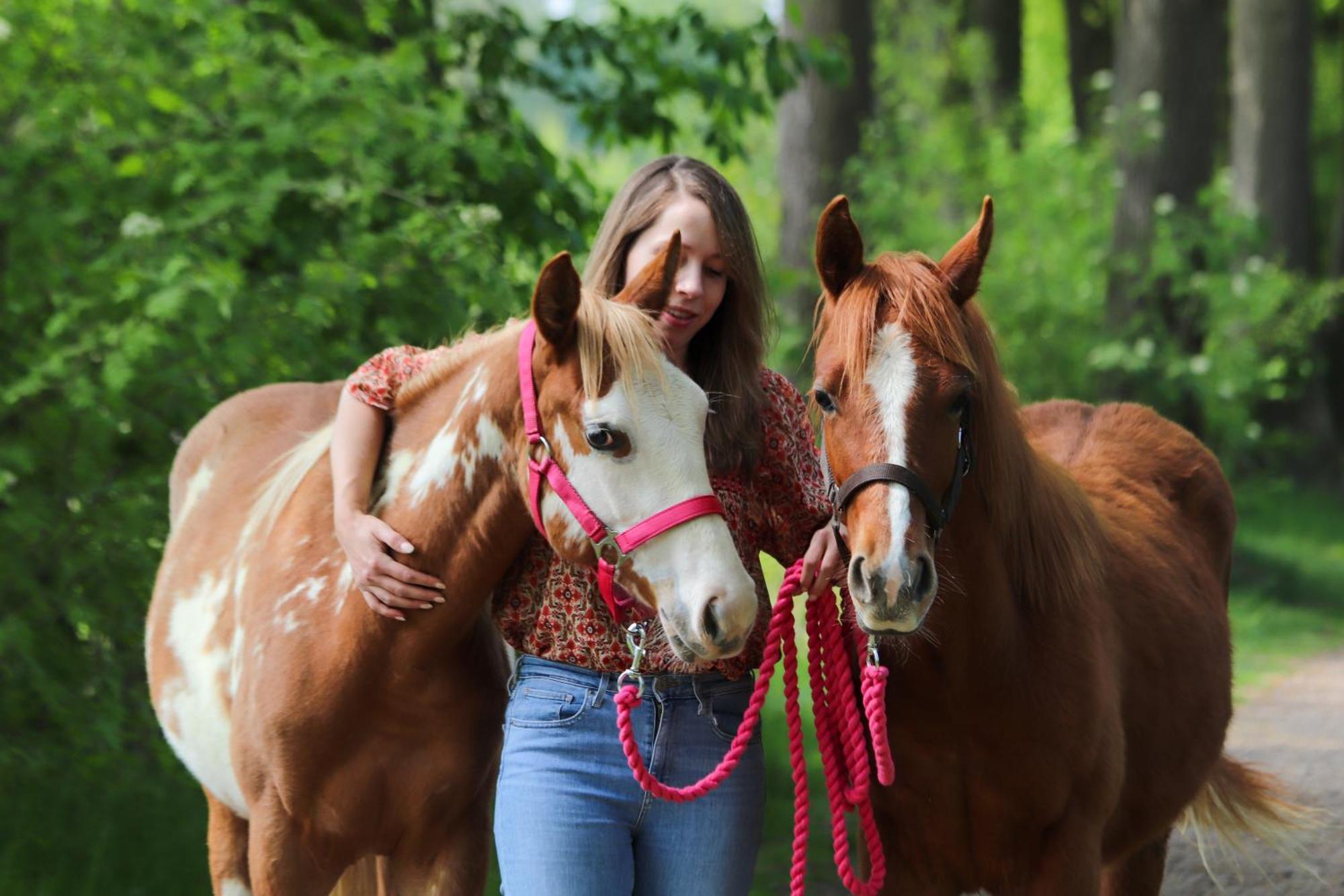 Magnolia Hoeve - Unieke Bestemming Voor Paardenliefhebbers En Bijzondere Overnachtingen In De Natuur Ledeacker Bagian luar foto