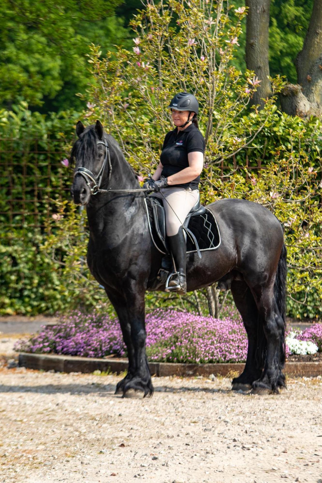 Magnolia Hoeve - Unieke Bestemming Voor Paardenliefhebbers En Bijzondere Overnachtingen In De Natuur Ledeacker Bagian luar foto