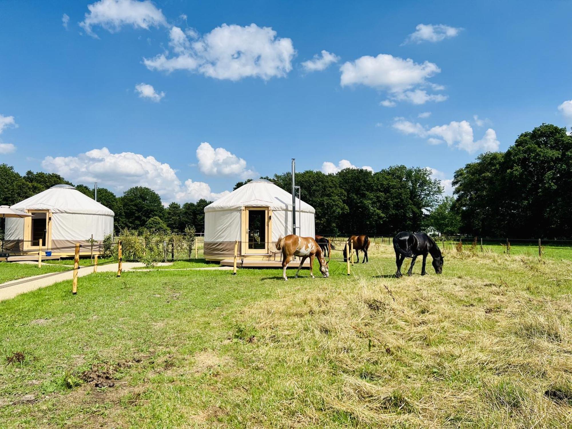Magnolia Hoeve - Unieke Bestemming Voor Paardenliefhebbers En Bijzondere Overnachtingen In De Natuur Ledeacker Bagian luar foto