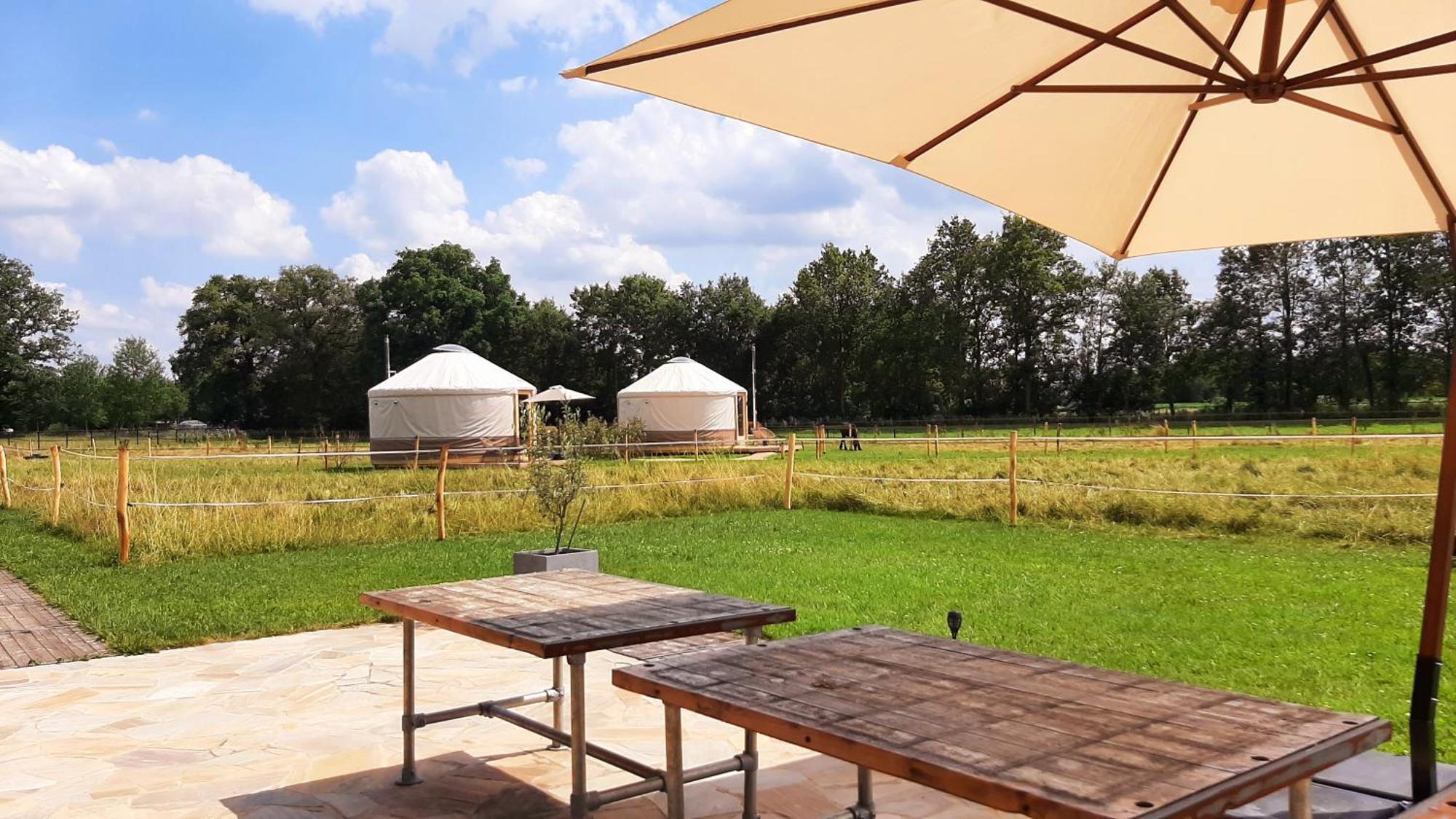 Magnolia Hoeve - Unieke Bestemming Voor Paardenliefhebbers En Bijzondere Overnachtingen In De Natuur Ledeacker Bagian luar foto