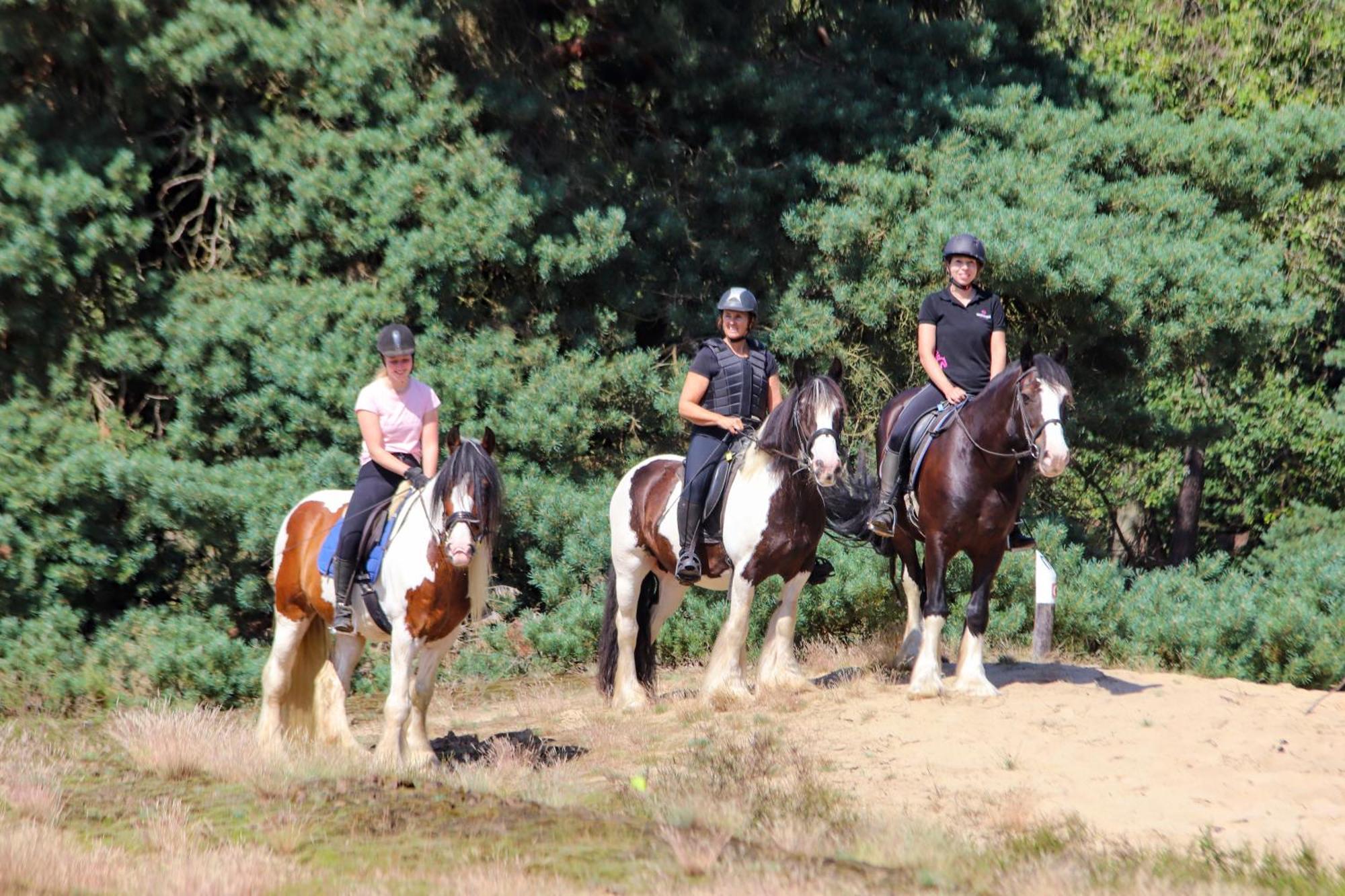 Magnolia Hoeve - Unieke Bestemming Voor Paardenliefhebbers En Bijzondere Overnachtingen In De Natuur Ledeacker Bagian luar foto