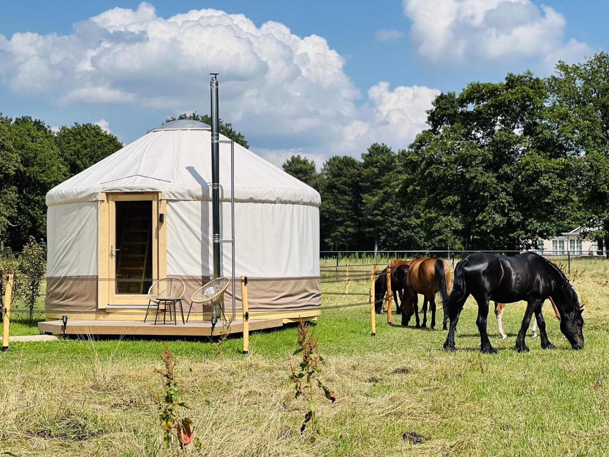 Magnolia Hoeve - Unieke Bestemming Voor Paardenliefhebbers En Bijzondere Overnachtingen In De Natuur Ledeacker Bagian luar foto