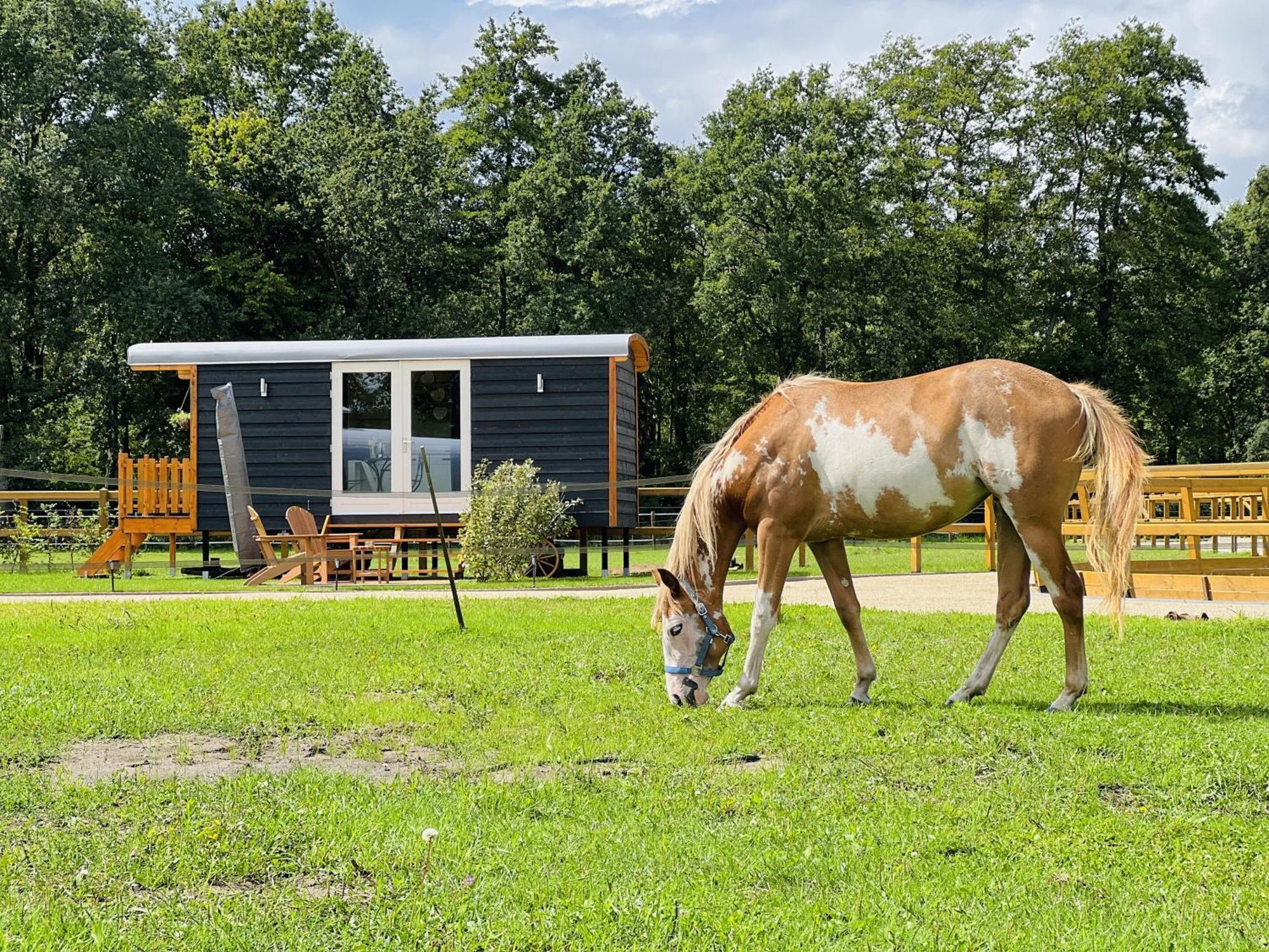 Magnolia Hoeve - Unieke Bestemming Voor Paardenliefhebbers En Bijzondere Overnachtingen In De Natuur Ledeacker Bagian luar foto