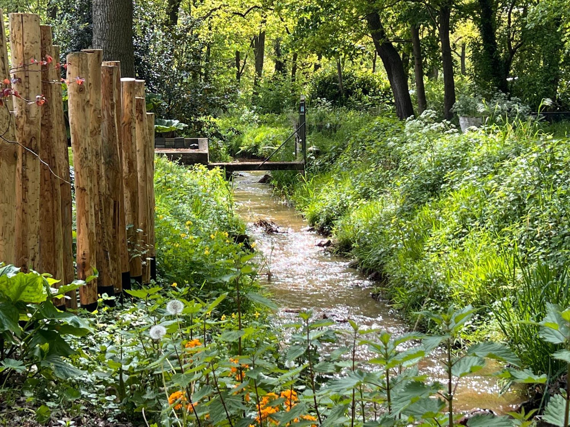 Magnolia Hoeve - Unieke Bestemming Voor Paardenliefhebbers En Bijzondere Overnachtingen In De Natuur Ledeacker Bagian luar foto